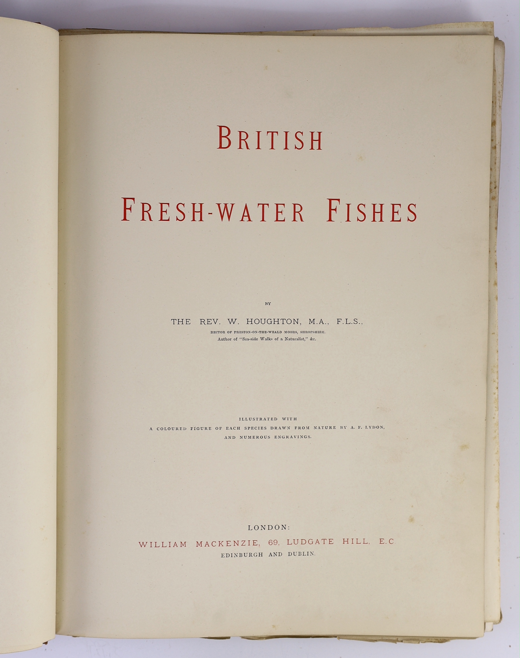 Houghton, Rev. William - British Freshwater Fishes, 2 vols. 41 coloured plates (with guards); publisher's gilt and blind pictorial leather cloth, ge., roy. 4to. (1879)